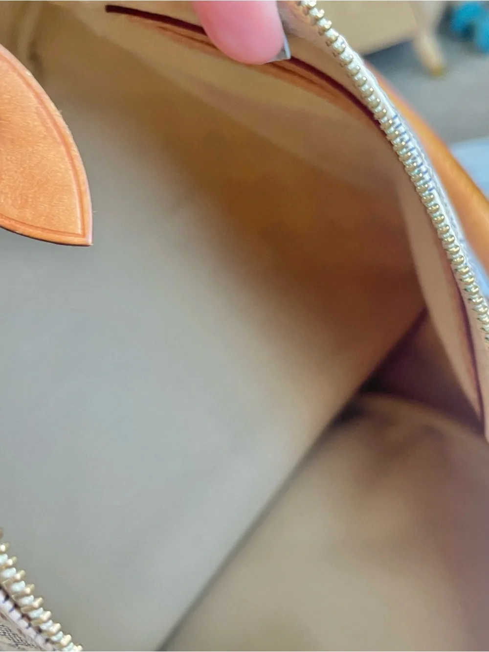 Louis Vuitton iconic louis